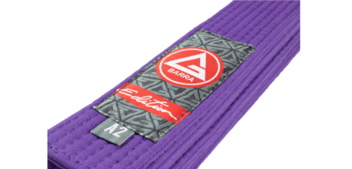 CINTURON MORADO TALLA A3